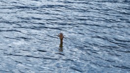 Jonas Lindstroem, Kendrick Lamar, Element, DAMN.